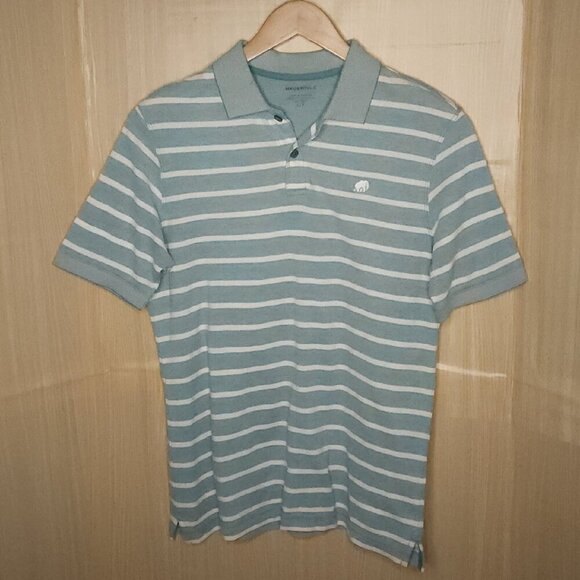 Banana Republic Mens Mint Green White Stripe Polo Small - Picture 1 of 5